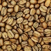 Nicaragua Superior Giants Maragogype kávé 100g kraft tasakban