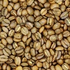 HAWAII KONA EXTRA FANCY 100G