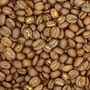 Nicaragua Flores del Café Women's Project 250G