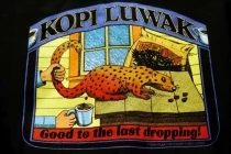 Kopi Luwak, a világ legdrágább kávéja, de vajon miért?