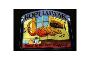 Kopi Luwak, a világ legdrágább kávéja, de vajon miért?