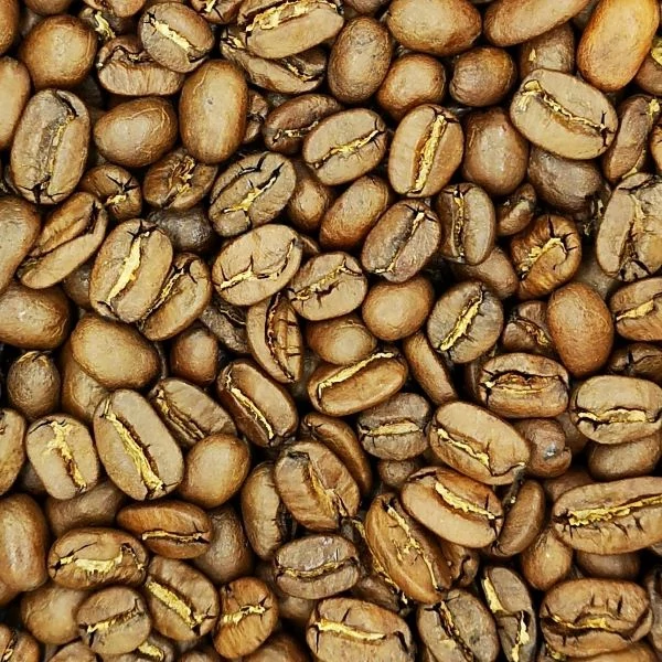 Nicaragua Superior Giants Maragogype kávé 250G