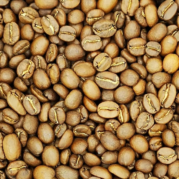 Mexico Finca el Flamingo kávé 100g