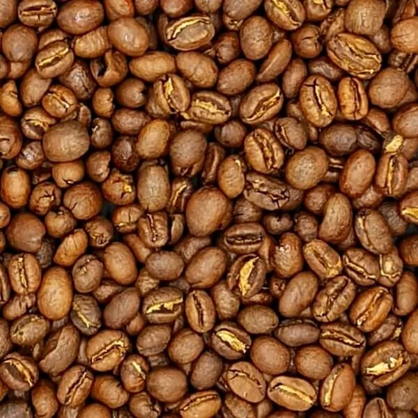 Kenya