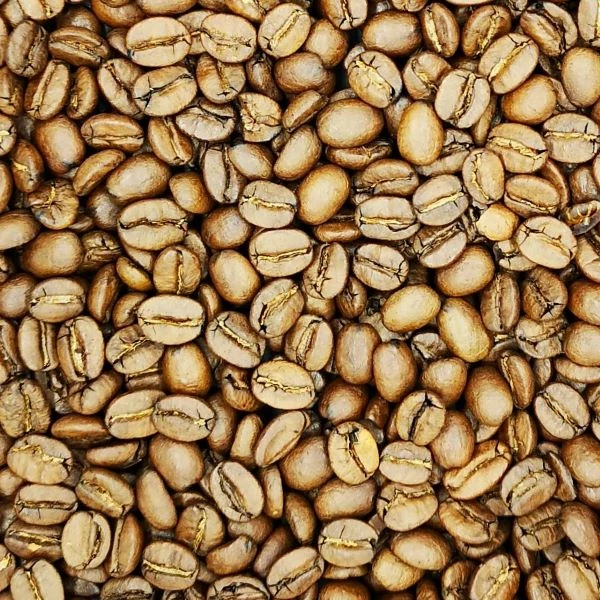 Brazília Fazenda Lagoa kávé 100g