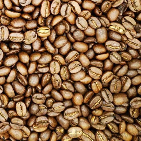 Ecuador Galapagos kávé 100G