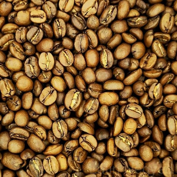 El Salvador Mapache kávé 100g